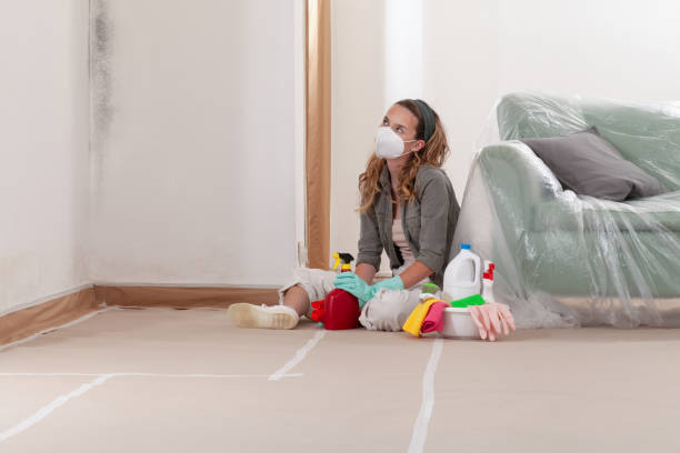 Reliable Mold Remediation contractor in Lake Dallas, TX by Mold Remediation HQ